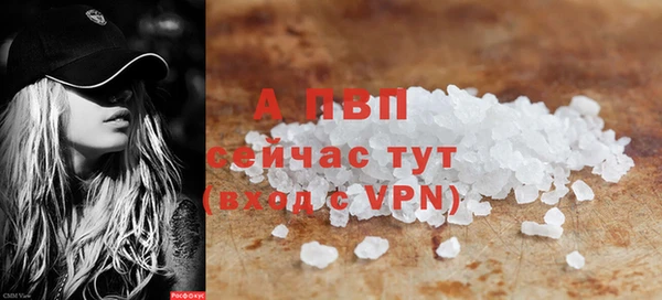 сатива Абинск