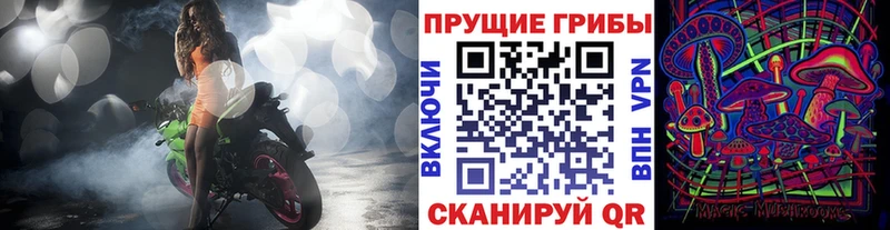 Галлюциногенные грибы MAGIC MUSHROOMS  Костерёво 