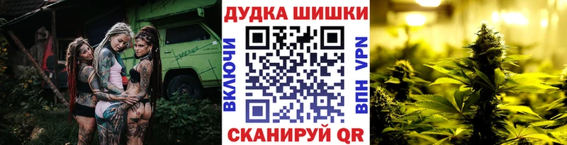 Конопля MAZAR  Костерёво 
